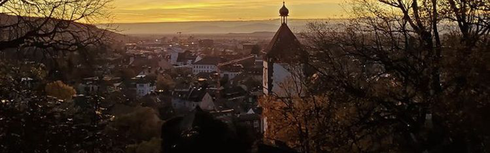 Sunset over the Freiburg skyline, with a shadow cast over the buildings.